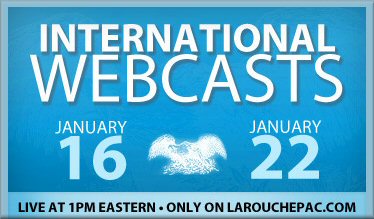 INTERNATIONAL WEBCASTS, JANUARY 16 AND 22, 2009
