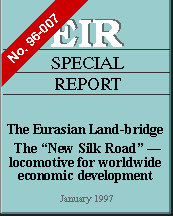 Report Cover