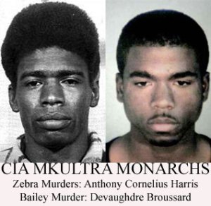 monarchs1 monarchs1