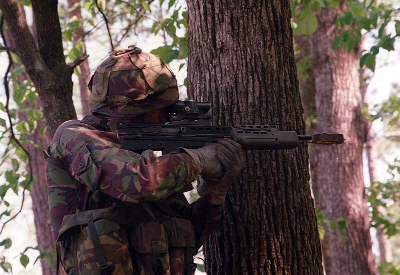[800px-Royal_marine_who_holds_gun.jpg]
