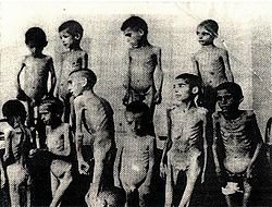 [250px-RomanichildrenAuschwitz.jpg]