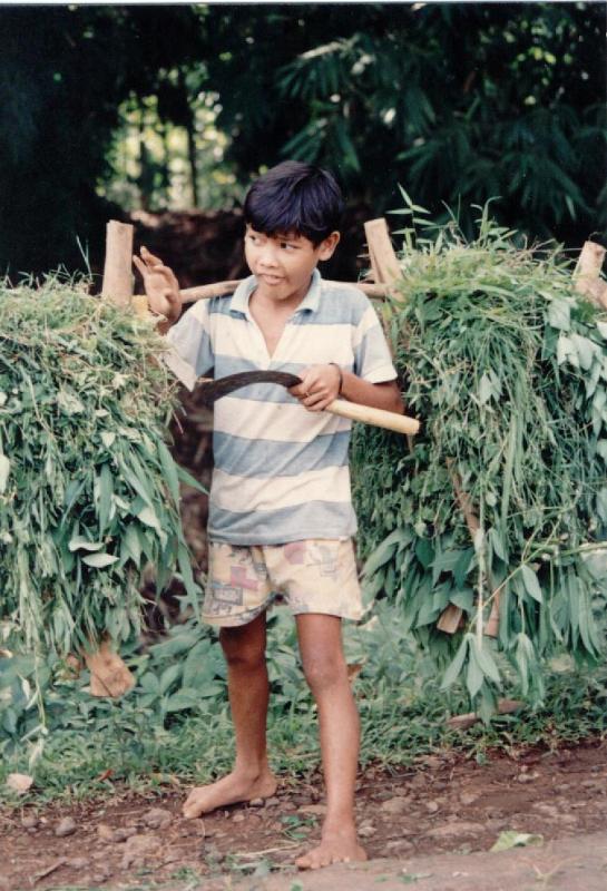 [Farm+boy.jpg]
