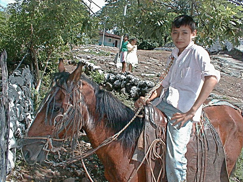 [800px-HN999sRamon_Resonsible.jpg]