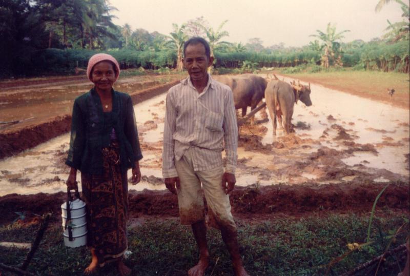 [rice,+cassava,+papaya,+maize,+bananas,+soybeans,+peanuts.jpg]