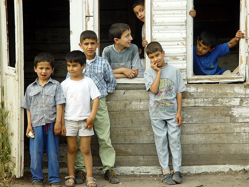 [800px-Zeyrek_01334_Nevit.jpg]