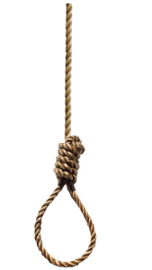 long noose