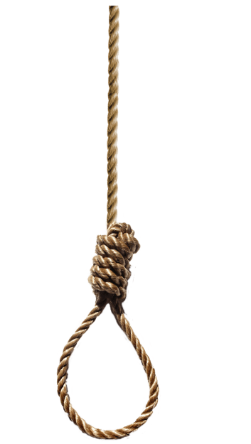 long noose