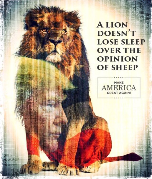Trump lion