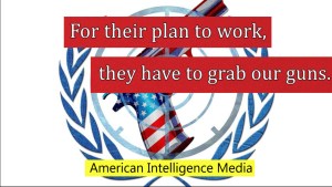 UN Gun grab