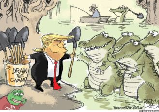 drain swamp