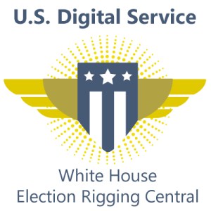 us-digital-service-logo