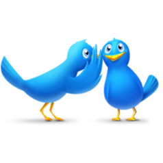 Gossip twitter birds