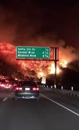 LA Fires