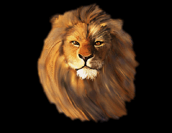 Lions_roar