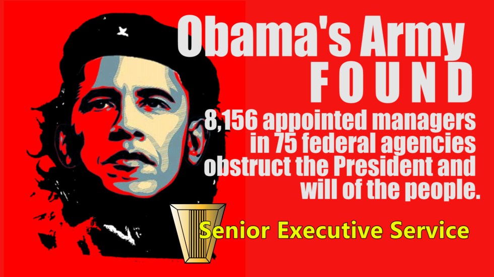 Obama Senior Executive Service Meme
