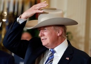 Trump in White Hat