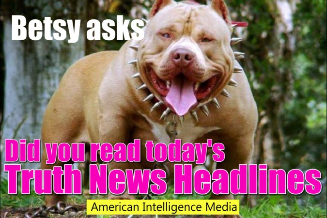 AIM Betsy bulldog