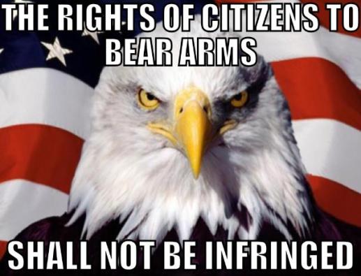 second amendment bird meme