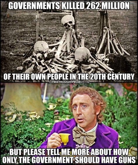 guns and government