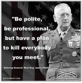 Mad Dog Mattis