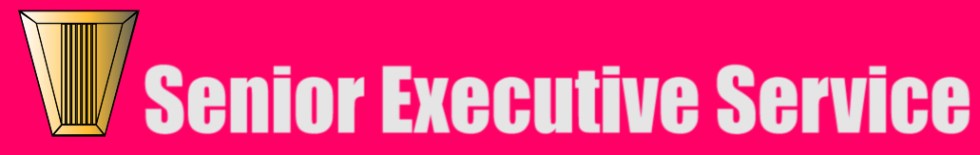 SES pink banner