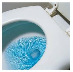 blue toilet water