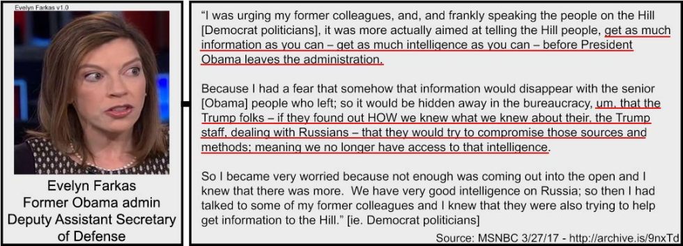 Evelyn Farkas