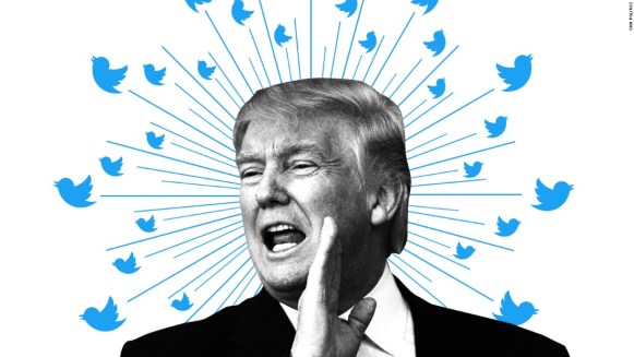 Tweet birds white background