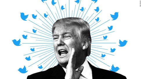 Tweet birds white background