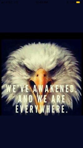 the eagle awakened