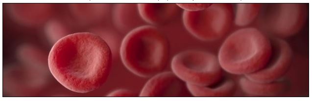 red cells