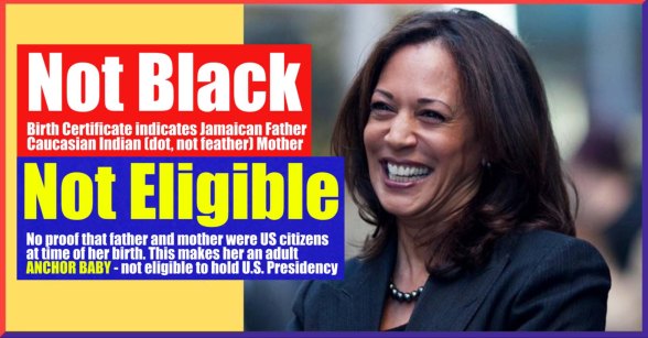 kamala harris meme 2