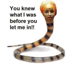 omar snake