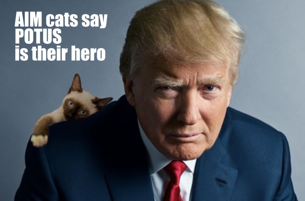 AIM cats trump hero
