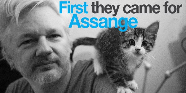 assange and cat