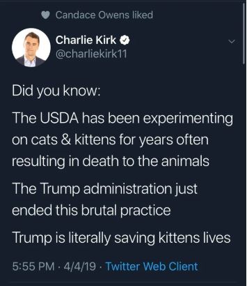 charlie kirk