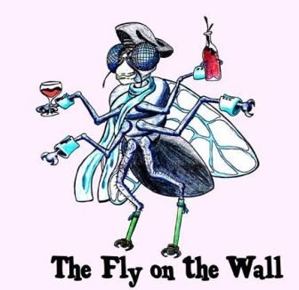 fly on the wall.JPG