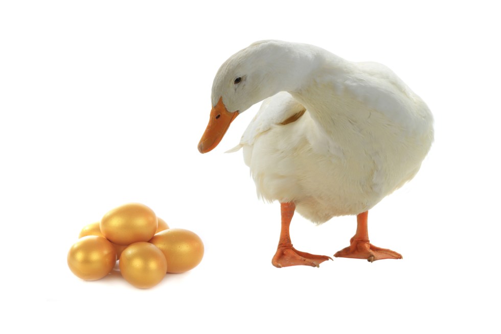 Golden-Eggs