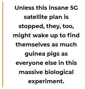 insane 5g
