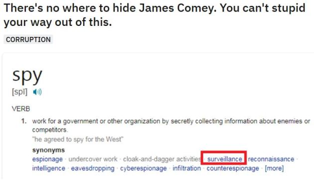 james comey spy definition.JPG