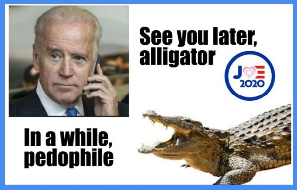 joe biden blue border.JPG