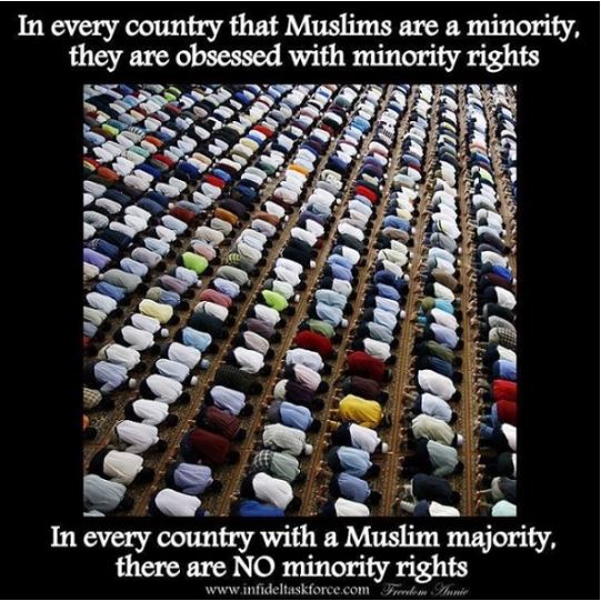 muslim minority