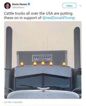 nunes cattle trucks