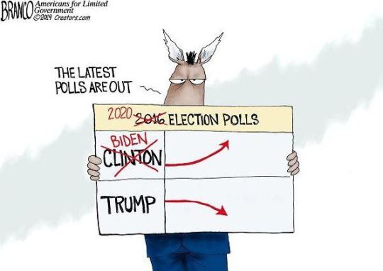polls branco.JPG