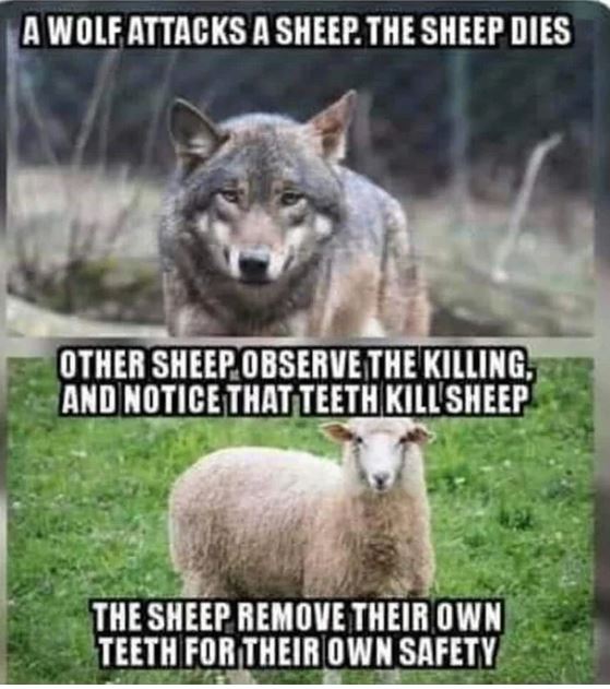 sheep wolf.JPG