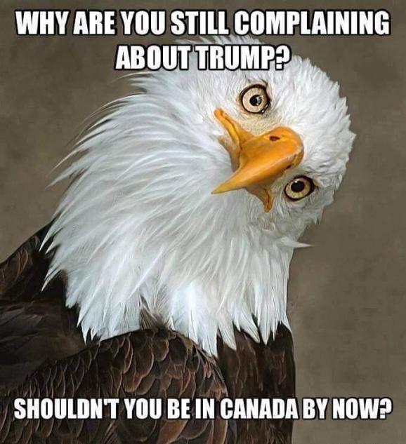 trump eagle