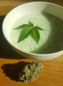 bhang