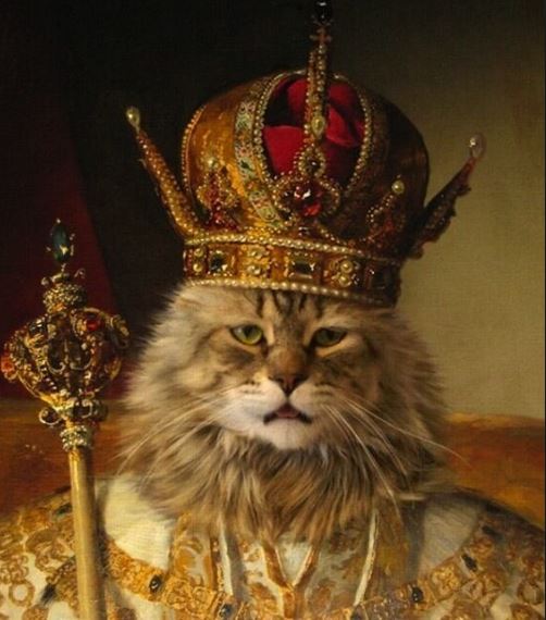 cat with crown