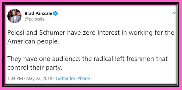 parscale schumer pelosi pink.JPG