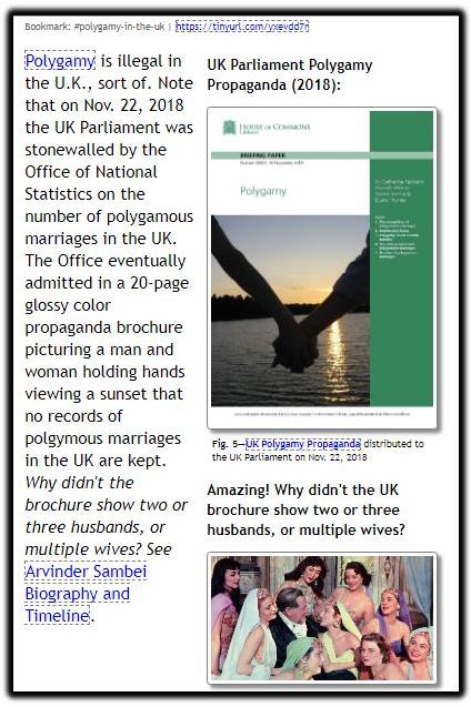 polygamy.JPG